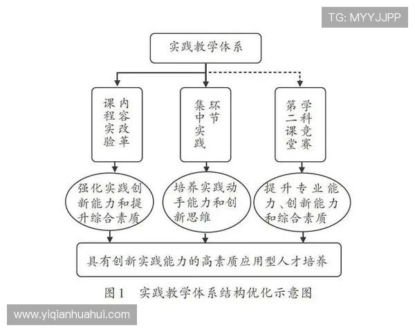 杭州排球队攻势变革揭秘打造全新进攻体系提升竞技水平